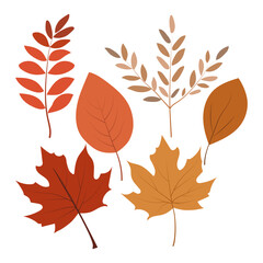 Obraz premium Set of autumn leaves. Simple autumn tree leaves.