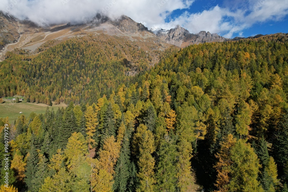 Sticker montagna autunno Val di Sole Trentino 