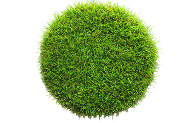 Grass green circle land ground isolated on white or transparent background