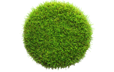 Grass green circle land ground isolated on white or transparent background