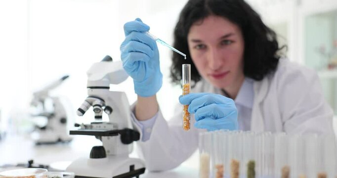 Laboratory assistant scientist drips liquid into test tube with corn. Research food concept