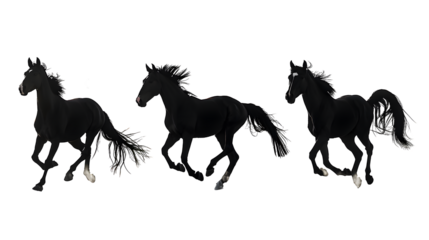 horse silhouettes on the white background volume 3