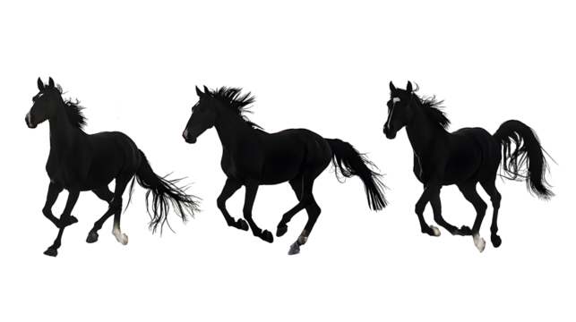 horse silhouettes on the white background volume 3