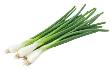 Fototapeta premium Green onion isolated on white or transparent background