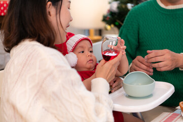 Family members are toasting with wine and drinks while sharing a meal together during the Christmas...