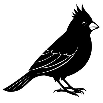 recommend clip art: vector cardinal black bird silhouette animal on white background 