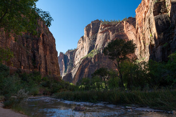 A beautiful view of the Virgin river and red rocks down in the Zion valley.