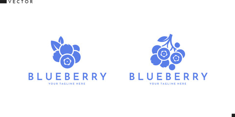 Blueberry logo. Fresh fruit sign