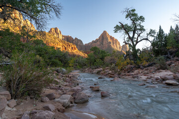 A beautiful view of the Virgin river and red rocks down in the Zion valley.