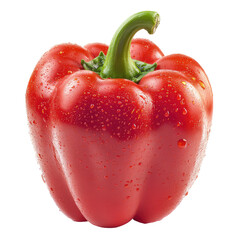 Red bell pepper with water drops