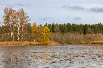 Typical autumn landscape in Trebonsko region, Velky Sustov pond near Suchdol nad Luznici, Southern...