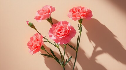 A bouquet of vibrant coral carnations arranged against a soft peach background during daylight