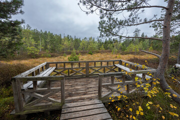 Fototapeta premium Red Mud (Cervene blato) National Nature Reserve near Suchdol nad Luznici in Trebonsko region, Southern Bohemia, Czech Republic