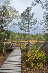 Red Mud (Cervene blato) National Nature Reserve near Suchdol nad Luznici  in Trebonsko region, Southern Bohemia, Czech Republic