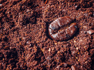 Coffee bean on ground coffee, Top view of coffee bean and ground coffee