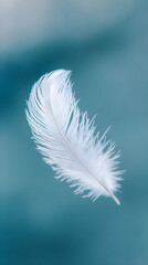 A soft white feather floats delicately in the air, symbolizing lightness and tranquility against a serene blue background