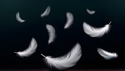 Obraz premium Falling Feathers: Animate a few feathers floating gently to the ground, twisting and turning. 