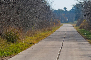 country road in autumn