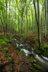 Starohutiansky waterfall near Nova Bana and Zarnovica, Pohronsky Inovec mountains, Slovakia