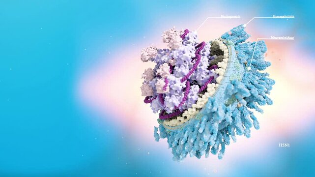 Scientific Accurate H5N1 virus responsible for bird flu, avian influenza virus H5N1 pandemic 3d rendering