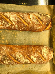 Two Loaves of Freshly Baked Bread on Parchment Paper