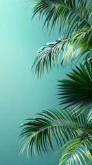 Palm coconut green leaf organic nature environment on solid story background