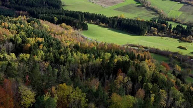 Aerial view of autumn trees on a sunny day in the Black Forest, Baar, Heuberg, Baden-W&uuml;rttemberg, Germany