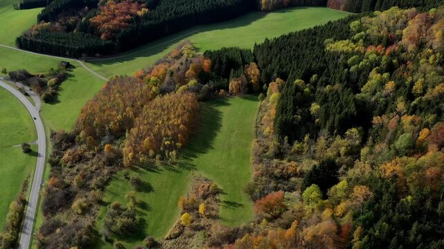 Aerial view of autumn trees on a sunny day in the Black Forest, Baar, Heuberg, Baden-W&uuml;rttemberg, Germany