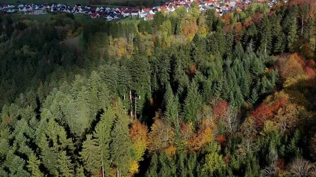Aerial view of autumn trees on a sunny day in the Black Forest, Baar, Heuberg, Baden-W&uuml;rttemberg, Germany