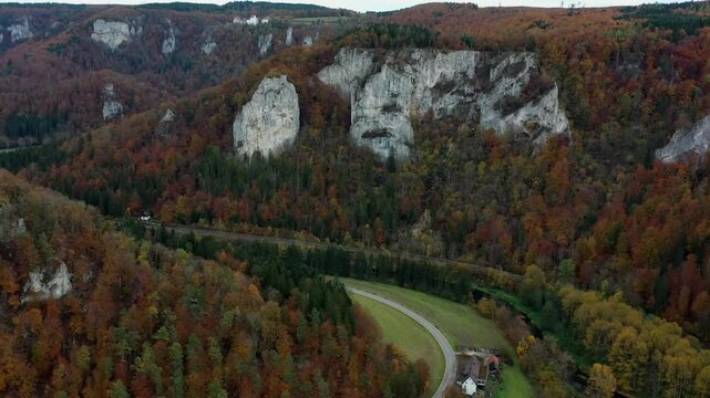 Aerial view of autumn trees on a sunny day in the Black Forest, Baar, Heuberg, Baden-W&uuml;rttemberg, Germany