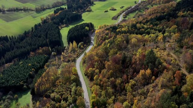 Aerial view of autumn trees on a sunny day in the Black Forest, Baar, Heuberg, Baden-W&uuml;rttemberg, Germany