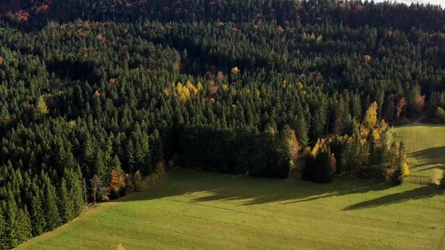 Aerial view of autumn trees on a sunny day in the Black Forest, Baar, Heuberg, Baden-W&uuml;rttemberg, Germany