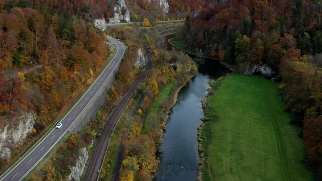 Aerial view of autumn trees on a sunny day in the Black Forest, Baar, Heuberg, Baden-W&uuml;rttemberg, Germany