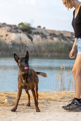 Malinois dog and girl in a lake.