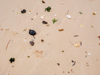 Fresh summer vibes on the sea shore paradise beach