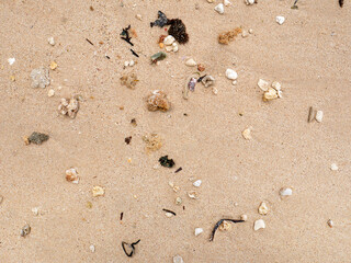 Fresh summer vibes on the sea shore paradise beach