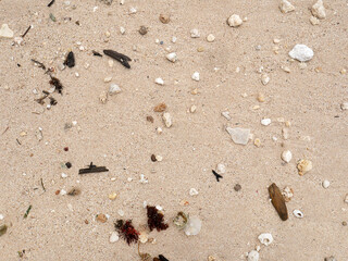 Fresh summer vibes on the sea shore paradise beach