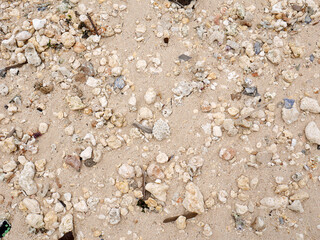 Fresh summer vibes on the sea shore paradise beach