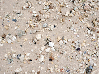 Fresh summer vibes on the sea shore paradise beach