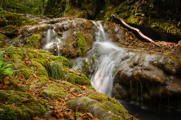 Fototapeta premium Divji potok stream in Bela krajina, Slovenia