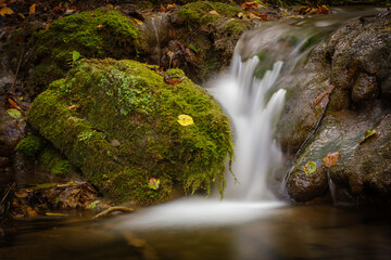 Divji potok stream in Bela krajina, Slovenia