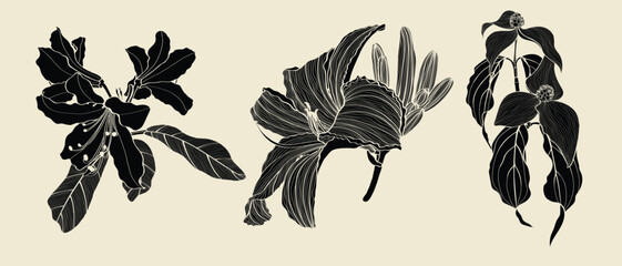 Set of Floral Botany Collection. Lily, rhododendron, dogwood flower drawings. Line art on white background. 
