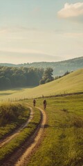 Naklejka premium Scenic Rural Path Winding Through Lush Countryside Landscape