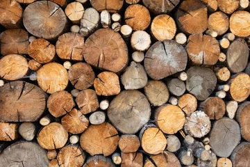 Selbstklebende Fototapeten Closeup of log pile textured background © Ruslan