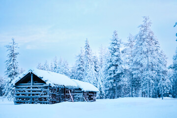 Quiet Winter Forest Environment with Two Firewood Storage Cabines