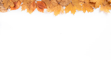 Minimal sparse autumn background with fall leaves