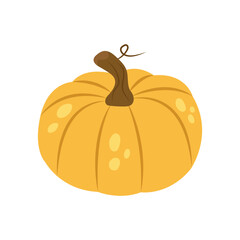 Ripe yellow pumpkin isolated on white background.