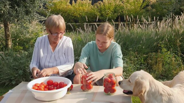 A grandmother and her granddaughter are canning tomatoes in a peaceful garden, with their dog resting nearby.