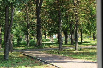 magic light at the and of walkway in autumn park