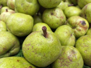 The pear is a sweet-tasting pip fruit of which there are two thousand varieties india,Sweet gree fresh Pear pic